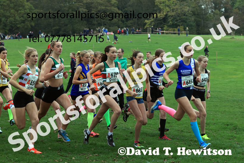 Girls Under-15s relay, 2025 Northern Cross Country Relays, Graves Park, Sheffield. Photo: David T. Hewitson/Sports for All Pics